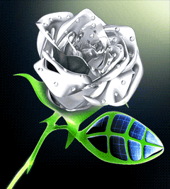 rose d'argent